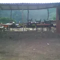 Secundaria Comunitaria Indigena