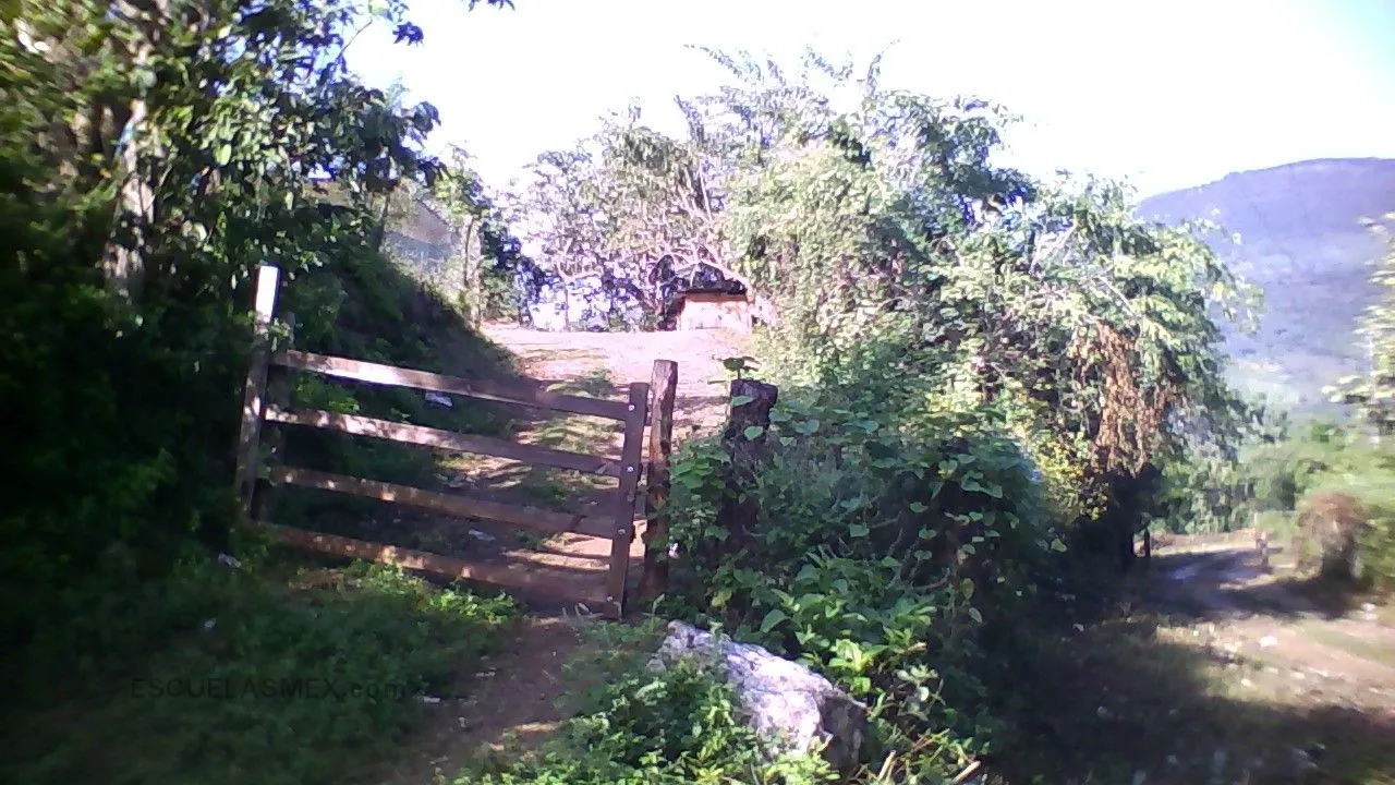 Secundaria Comunitaria Mestiza Entrada