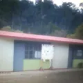 Secundaria Comunitaria Mestiza