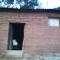 Secundaria Comunitaria