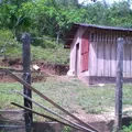 Secundaria Comunitaria Mestiza