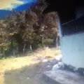 Secundaria Comunitaria Mestiza