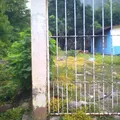 Secundaria Comunitaria Mestiza