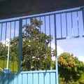 Cascada Infantil