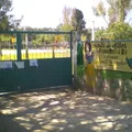 Fernando Montes de Oca