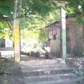 Cuauhtemoc