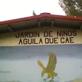 Aguila que Cae