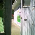 Buen Sembrador