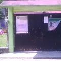 No Mile Inxochitl