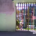 5 de Mayo