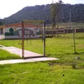 Articulo 123