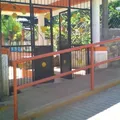 Xochitl Milli