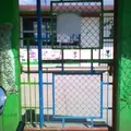 Tocha Pickcilitos