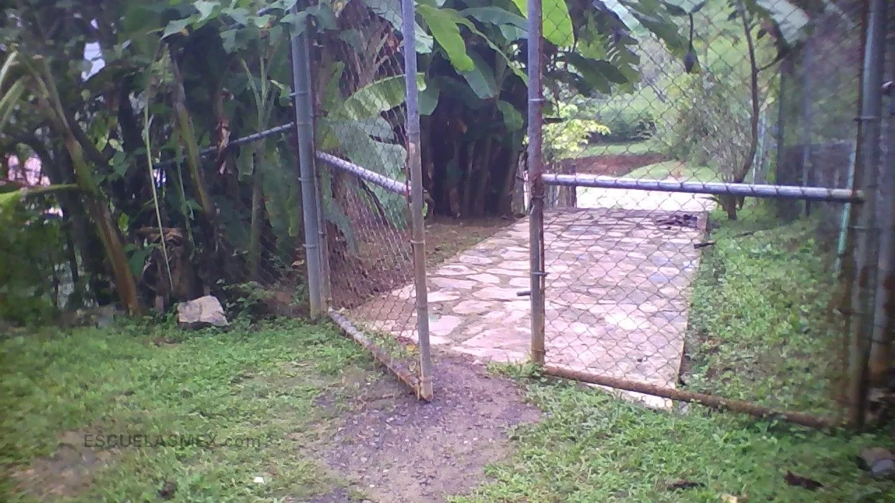 Xochipilli Entrada