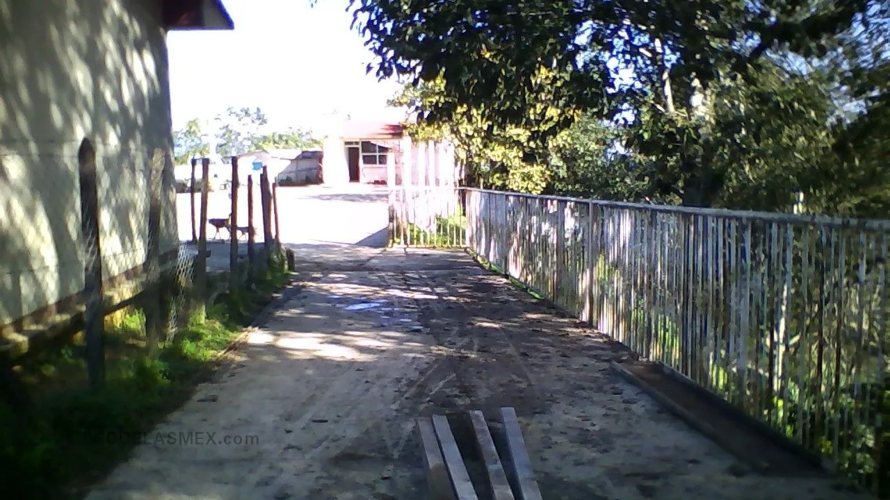 Evolucion Entrada