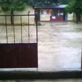 Netzahualcoyotl