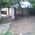 Cuauhtemoc