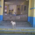 Justo Sierra