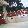Jose E Galindo