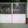 Jose Maria Morelos