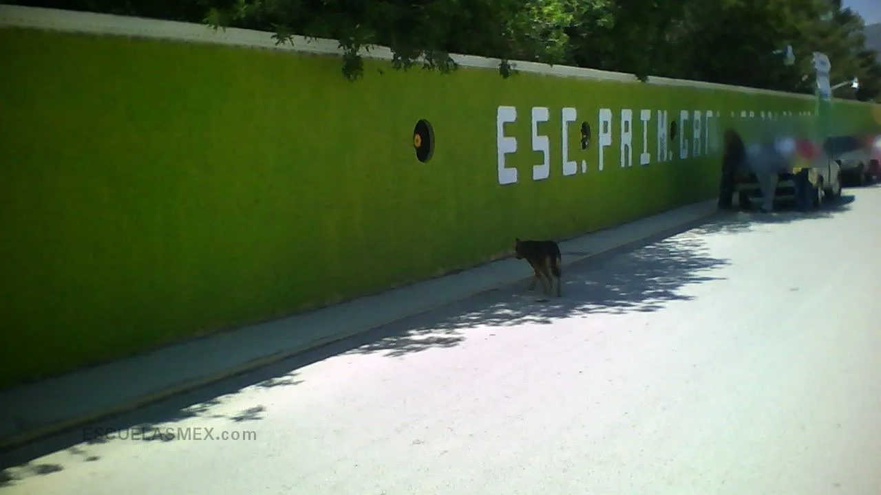 Lic. Don Benito Juarez Garcia Entrada