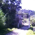 Amado Nervo