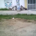 Telesecundaria 182