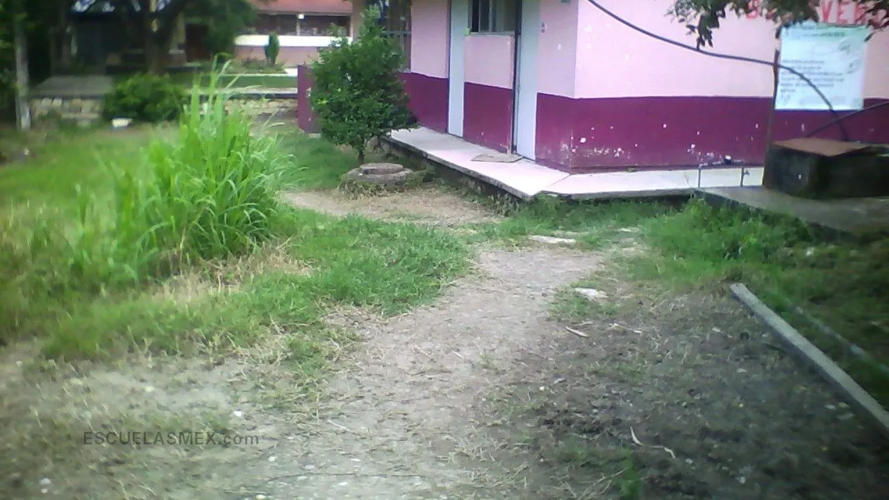 Telesecundaria 341 Entrada