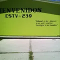 Telesecundaria 239