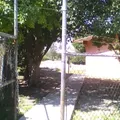 Telesecundaria 41