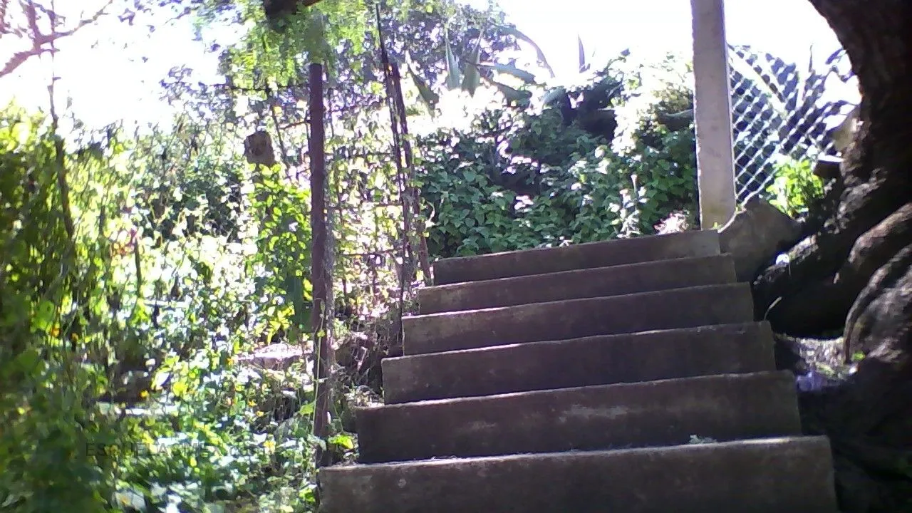 Telesecundaria 730 Entrada