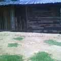 Preescolar Comunitario Indigena