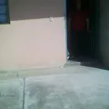 Preescolar Comunitario