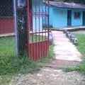 Preescolar Comunitario