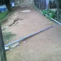 Preescolar Comunitario