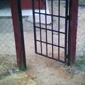 Preescolar Comunitario
