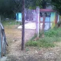 Preescolar Comunitario