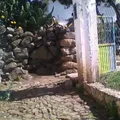 Preescolar Comunitario