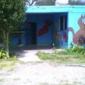 Preescolar Comunitario