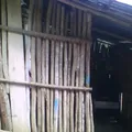 Preescolar Comunitario