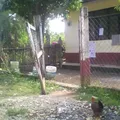 Preescolar Comunitario