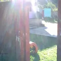 Preescolar Comunitario