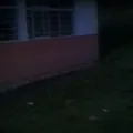 Preescolar Comunitario