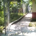 Preescolar Comunitario