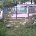 Preescolar Comunitario
