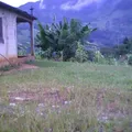 Secundaria Comunitaria