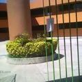 Instituto del Valle del Mezquital