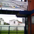 Colegio los Nogales, S.c.