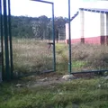 Amado Nervo