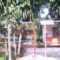 Xochimiltototl